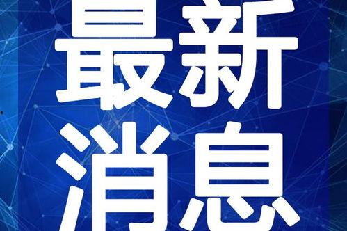 西湖爆料欺凌视频最新,揭开校园暴力黑暗面