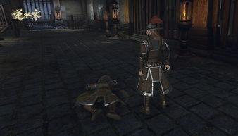 逆水寒最新爆料15完