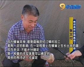 新瓜最新爆料黑料河传姚